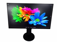 EIZO FlexScan EV2451 23.8